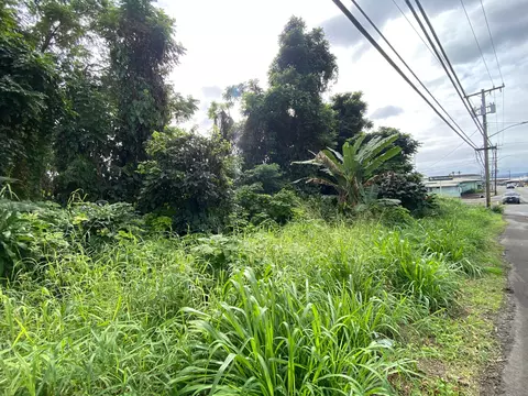 Undisclosed, Hilo, HI 96720 photo 3