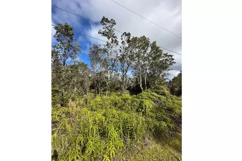 Mokuna St, Volcano, HI 96785 photo 2