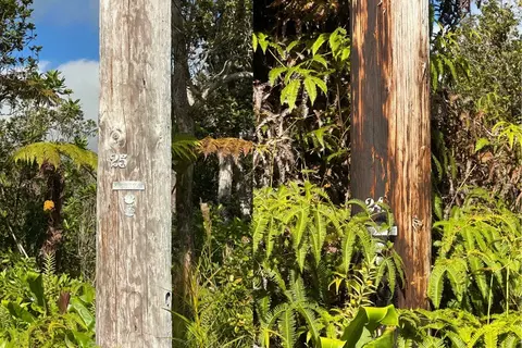 Mokuna St, Volcano, HI 96785 photo 4