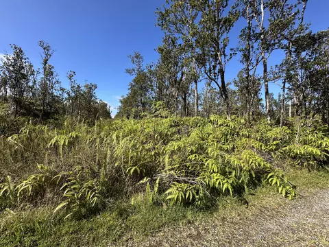 Uakoko Rd, Volcano, HI 96785