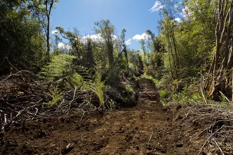 Peck Rd, Volcano, HI 96785 photo 3