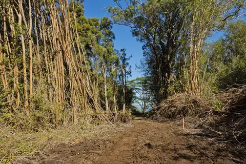 Peck Rd, Volcano, HI 96785 photo 2