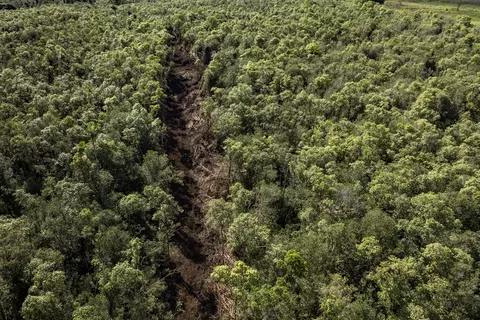 Peck Rd, Volcano, HI 96785 photo 8