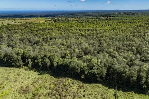Peck Rd, Volcano, HI 96785 photo 9