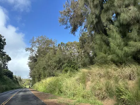 47-4520 Honokaa Waipio Rd, Honokaa, HI 96727