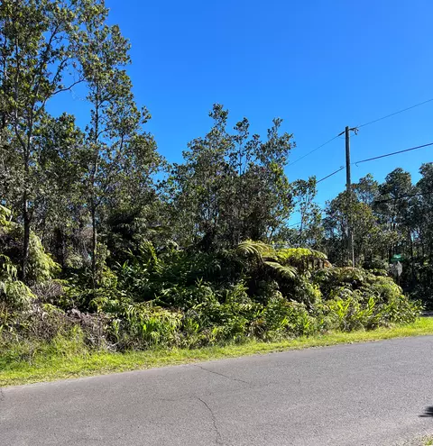 Liona St, Volcano, HI 96785