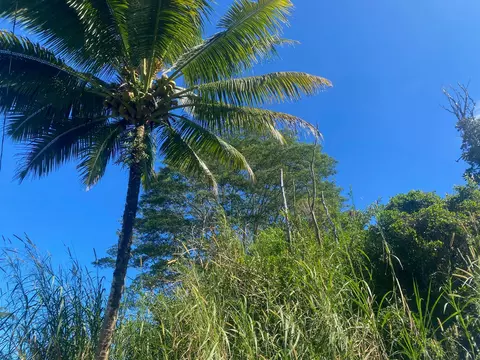 Hee St, Pahoa, HI 96778