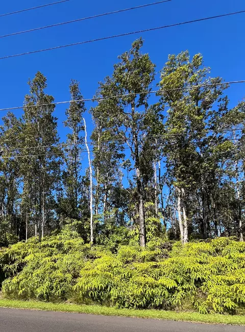 Kahukai St, Pahoa, HI 96778