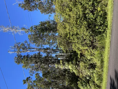 Kahukai St, Pahoa, HI 96778