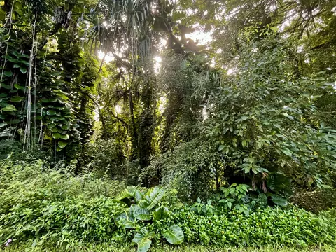 Ohiki St, Pahoa, HI 96778
