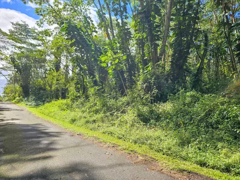 Flower Rd, Pahoa, HI 96778