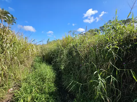 Undisclosed, Kurtistown, HI 96760