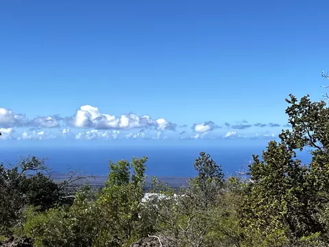 Princess Kaiulani Blvd, Ocean View, HI 96737