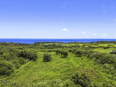 53-338 Kapanaia Rd, Kapaau, HI 96755