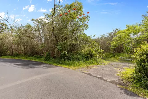 Ainalako Rd, Hilo, HI 96720 photo 15