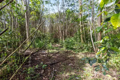 Ainalako Rd, Hilo, HI 96720 photo 10