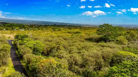 Ainalako Rd, Hilo, HI 96720 photo 6