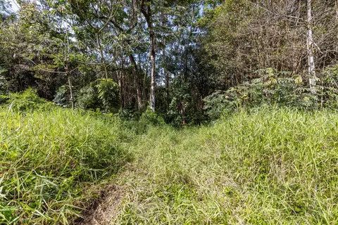 Ainalako Rd, Hilo, HI 96720 photo 11