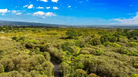 Ainalako Rd, Hilo, HI 96720 photo 5