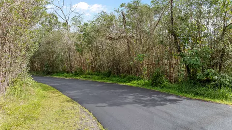 Ainalako Rd, Hilo, HI 96720 photo 9