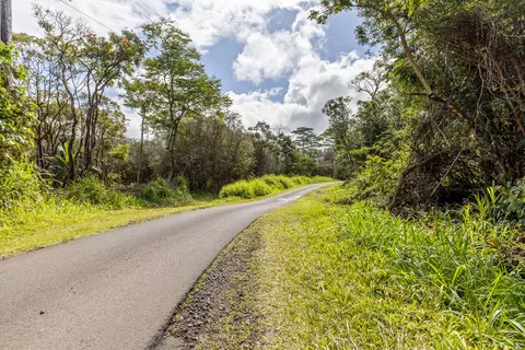 Ainalako Rd, Hilo, HI 96720 photo 8