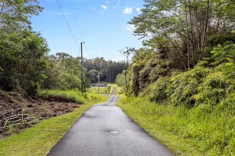 Ainalako Rd, Hilo, HI 96720 photo 12