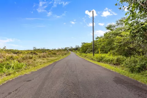 Ainalako Rd, Hilo, HI 96720 photo 4