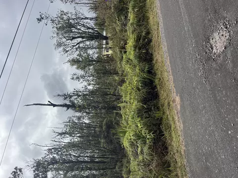 Ohialani Rd, Volcano, HI 96785