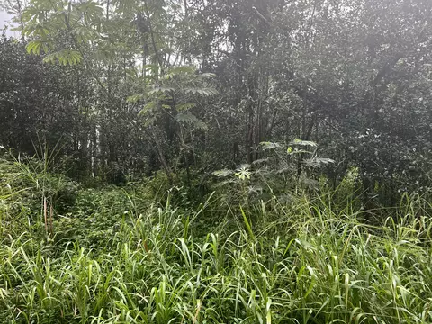 Pakalana Rd, Pahoa, HI 96778
