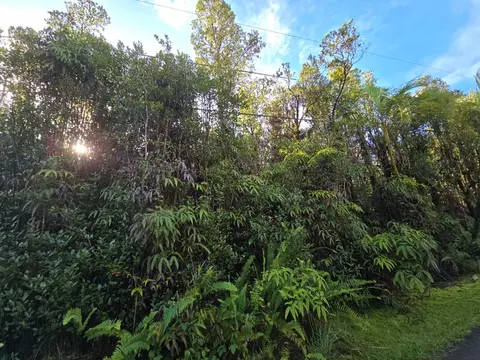 11-1750 Noio St, Mountain View, HI 96771