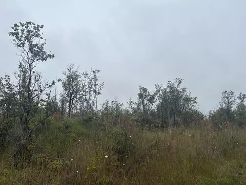 Omeka Rd, Volcano, HI 96785