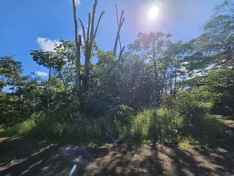 Tiki Rd, Kurtistown, HI 96760