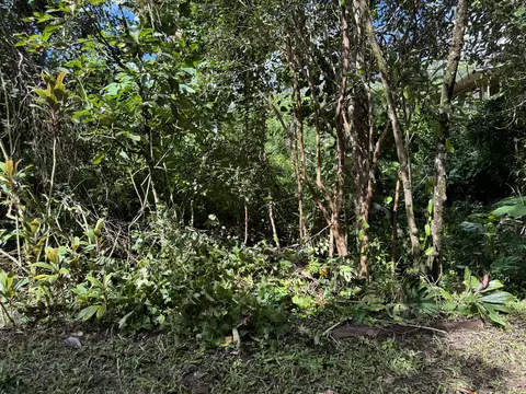 Puna St, Pahoa, HI 96778