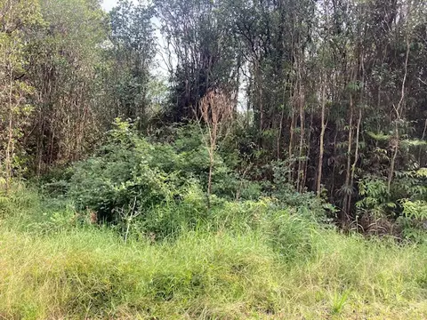 Road 5, Volcano, HI 96785 photo 3