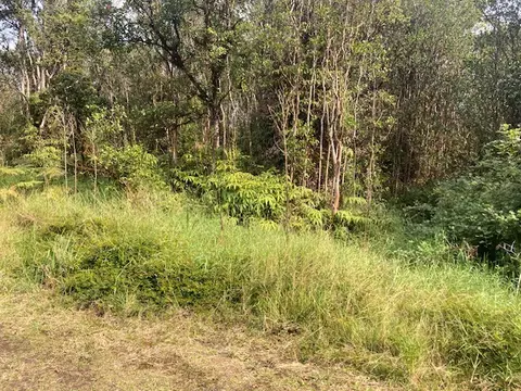 Road 5, Volcano, HI 96785