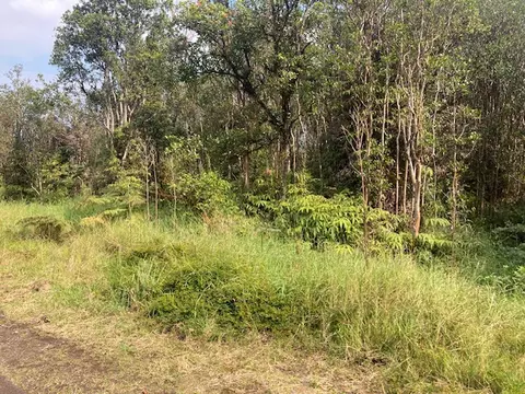 Road 5, Volcano, HI 96785 photo 2