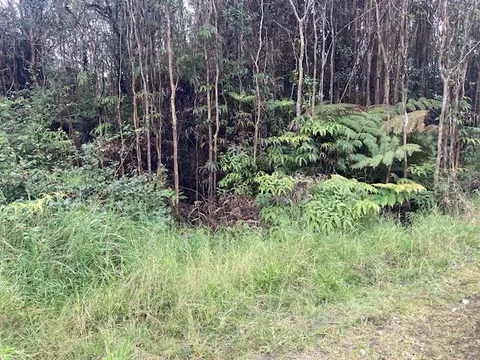 Road 5, Volcano, HI 96785 photo 2