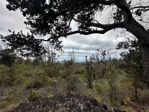 Pineapple Pkwy, Ocean View, HI 96737