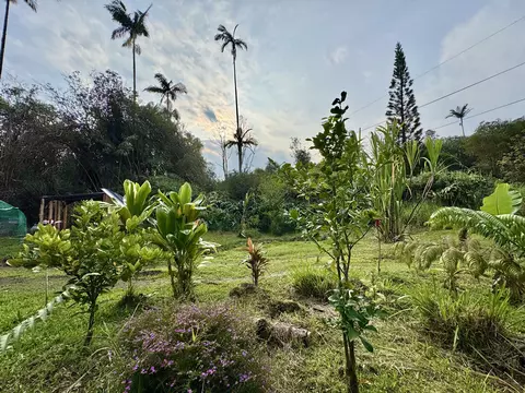 18-1209 Kauai St, Mountain View, HI 96771