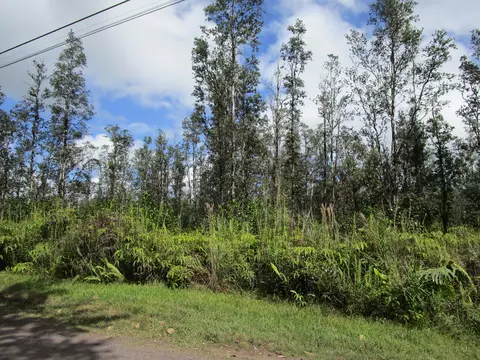 Road 9, Kurtistown, HI 96760