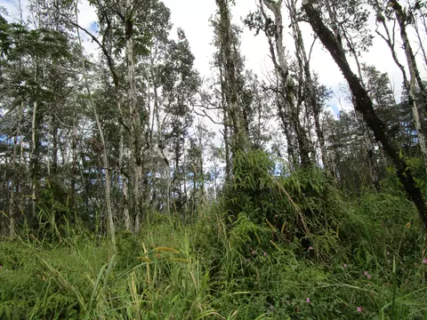 Seaview Rd, Pahoa, HI 96778