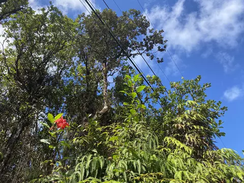 Hibiscus St, Mountain View, HI 96771