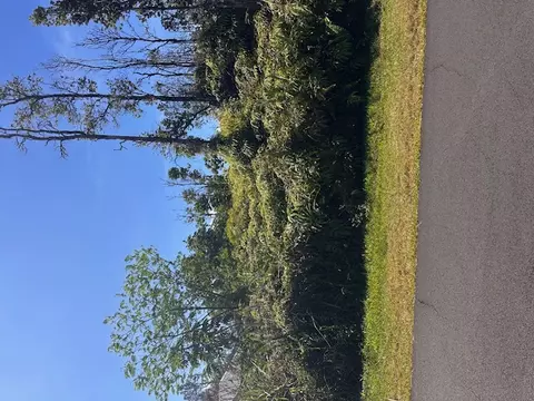 Lai St, Pahoa, HI 96778