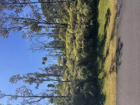 Lai St, Pahoa, HI 96778