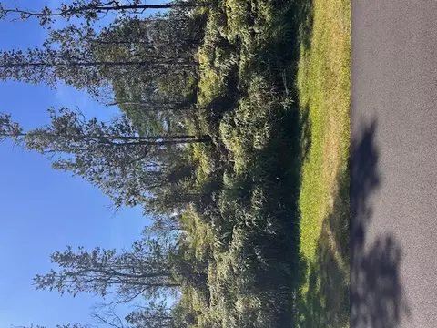 Lai St, Pahoa, HI 96778