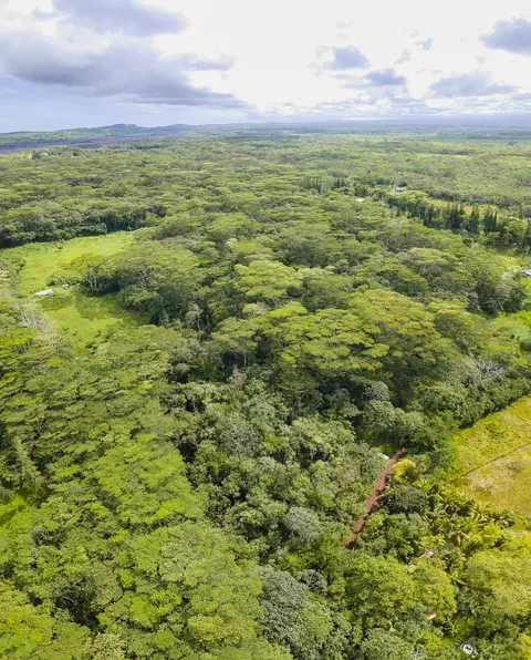 Puua Kapoho Rd, Pahoa, HI 96778