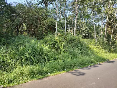 Maile St, Pahoa, HI 96778