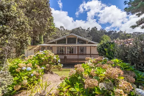 99-1808 Painiu Loop, Volcano, HI 96785