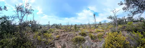 92-8643 Pineapple Pkwy, Ocean View, HI 96737