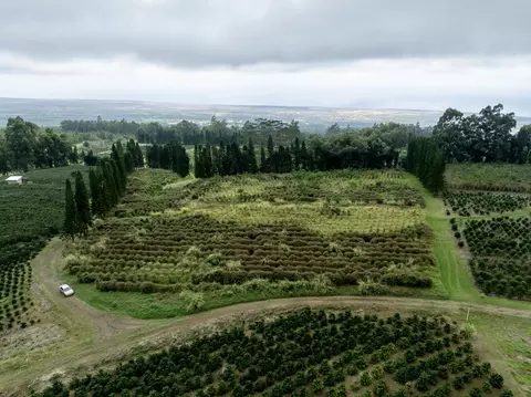 Undisclosed, Pahala, HI 96777